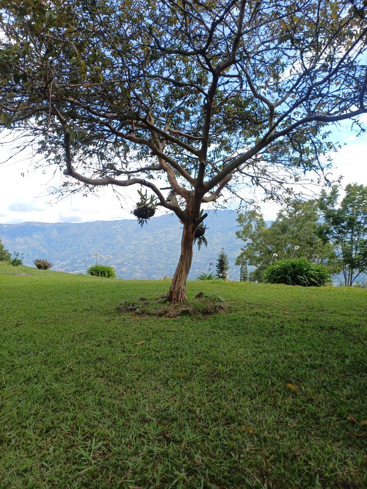 Fotografía de la propiedad campestre 19